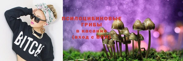 соль ск Абаза