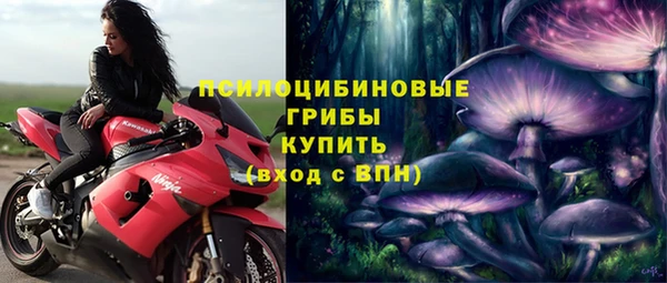 ПСИЛОЦИБИНОВЫЕ ГРИБЫ Алзамай