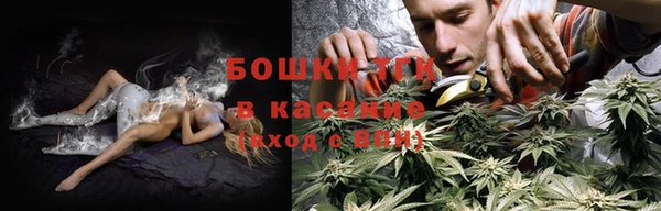 ПСИЛОЦИБИНОВЫЕ ГРИБЫ Алзамай